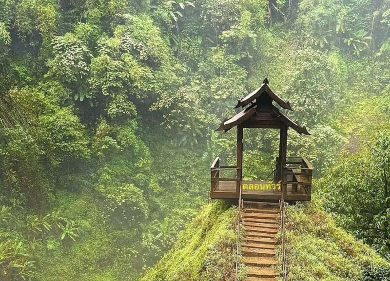 Pakse: Visit Bolaven Plateau+Tad Fane & Tad Yuang Waterfalls - Who Should Consider This Tour?