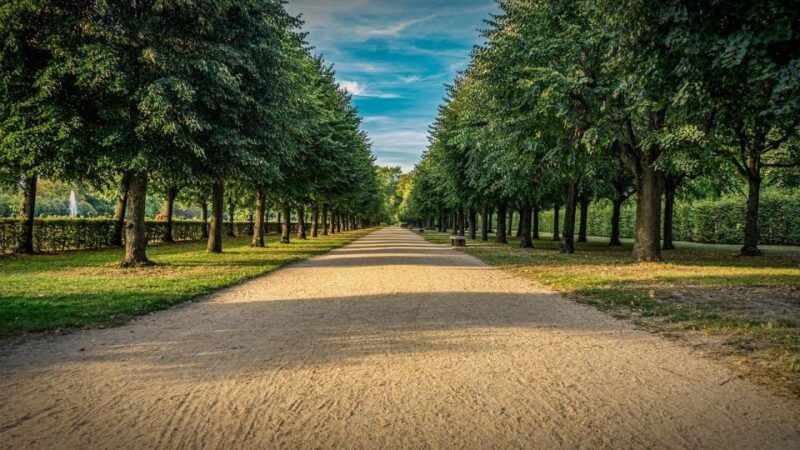 palace-of-queen-elisabeth-tour