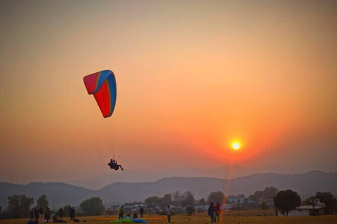 Palampur and Bir Tour, Tea Gardens, Adventures and Paragliding - Key Points