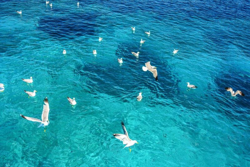palau-la-maddalena-archipelago-and-caprera-island-boat-tour