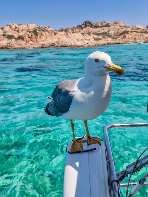 palau-sailing-tour-la-maddalena-archipelago