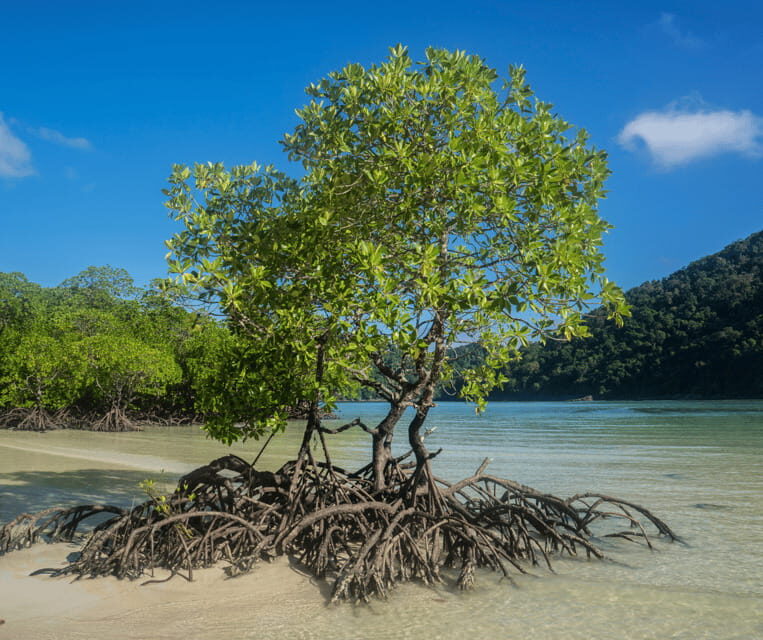 PALAWAN: El Nido Fishing Tour with Local Fishermen PRIVATE - An In-Depth Look at the El Nido Fishing Tour