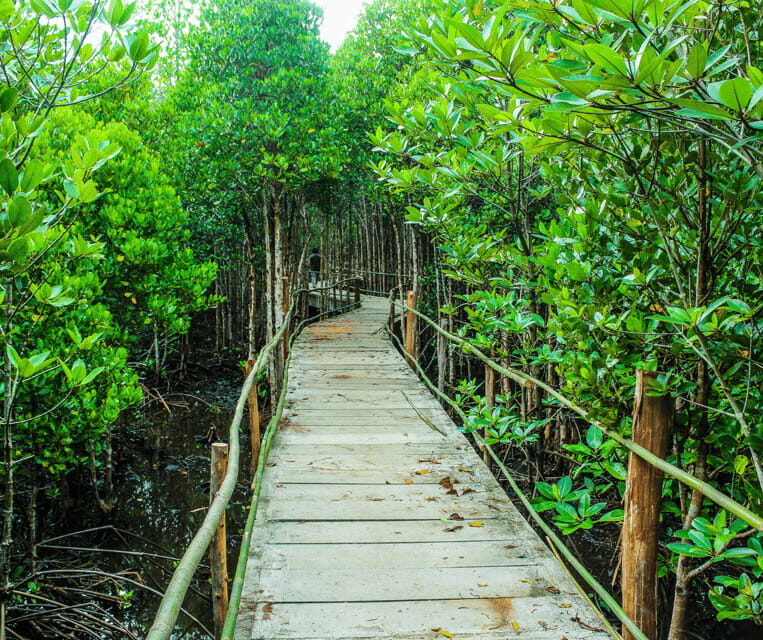 PALAWAN: El Nido Fishing Tour with Local Fishermen PRIVATE - Final Thoughts