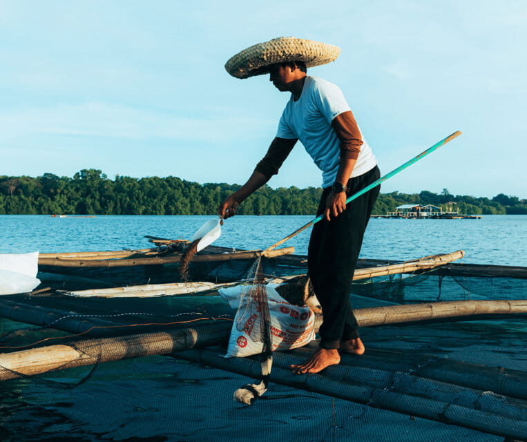 PALAWAN: El Nido Fishing Tour with Local Fishermen PRIVATE - In Summary