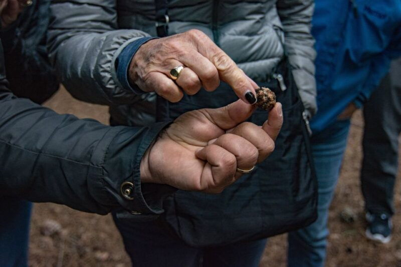 palazzolo-acreide-truffle-hunting-with-lunch-and-wine