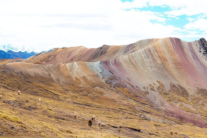 palccoyo-rainbow-mountain-tour-full-day-tour-group-service