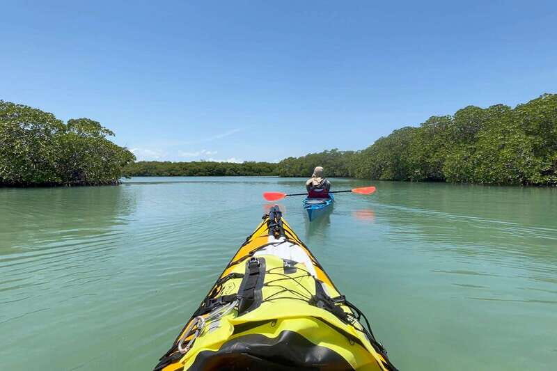 Palenque to San Cristobal. 5-day Jungle Tour + Rafting+Kayak - Practical Tips for Future Travelers
