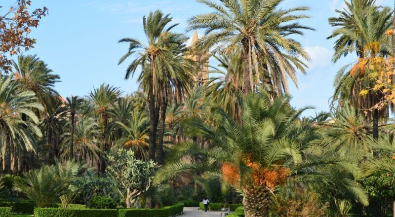 palermo-art-and-architecture-walking-tour