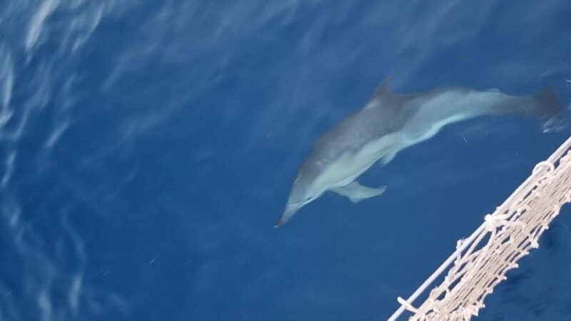 palermo-boat-tour-among-caves-and-breathtaking-landscapes