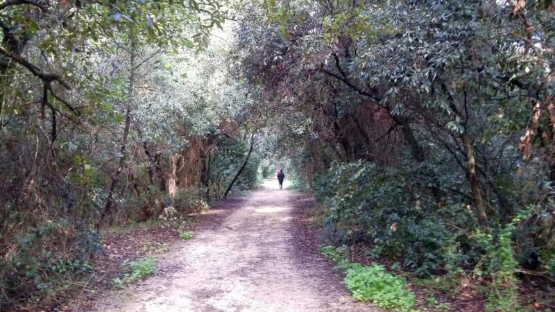 Palermo: Day trip to Monte Pellegrino - In-Depth Look at the Monte Pellegrino Day Trip