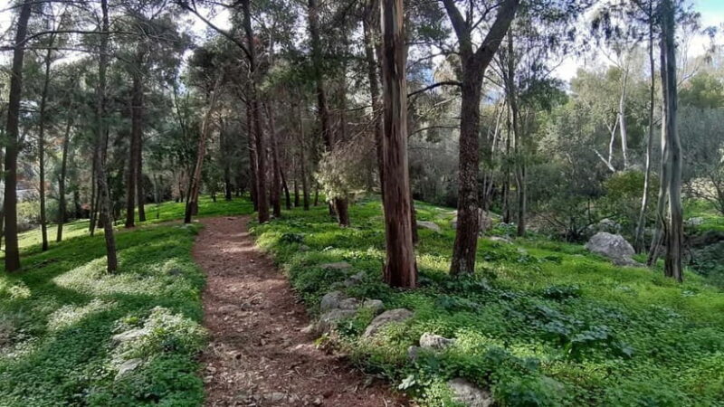 Palermo: Day trip to Monte Pellegrino - Final Thoughts