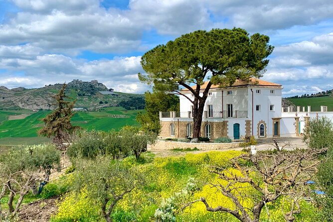 palermo-private-minitour-of-west-sicily-4-days-with-guide-driver