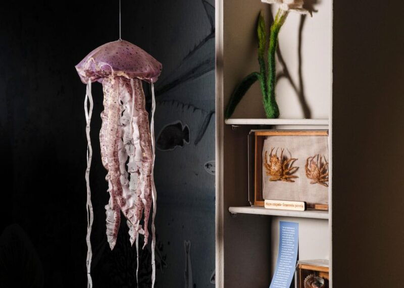 palermo-sensorial-experience-of-nature-and-ecology