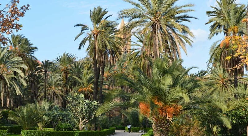 Palermo: Timeless Art & Architecture Trail - An In-Depth Look at the Palermo Timeless Art & Architecture Tour