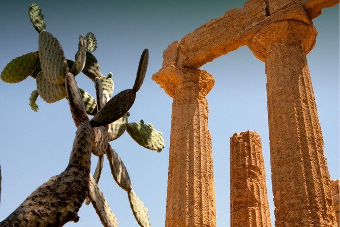 palermo-to-siracusa-stop-at-valley-of-temples-roman-villa