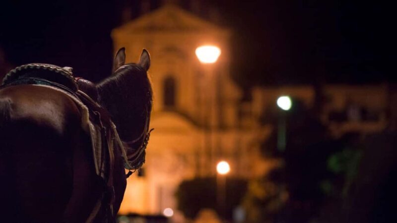 Palermo's Dark Shades: Ghost, Crime and Tasting Walking Tour - Practical Details