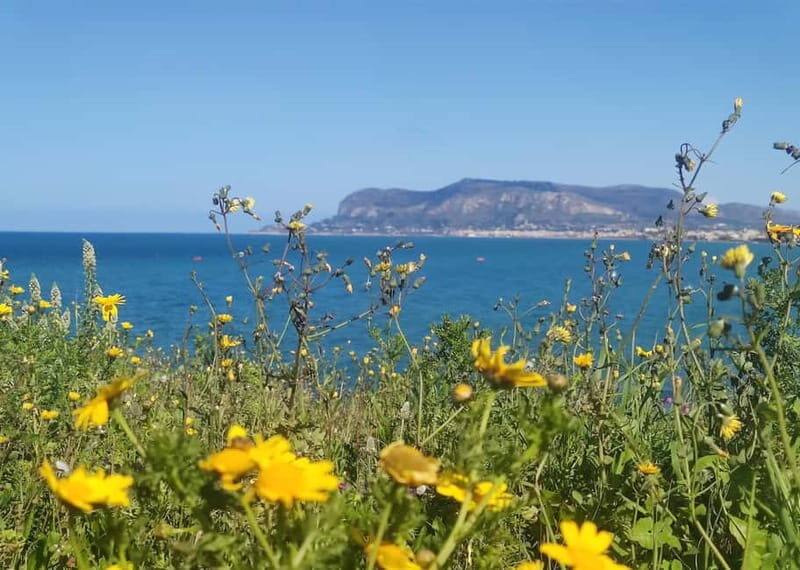 Palermo's East Coast: a bike ride close to the Sea - Practical Details & What You Need to Know