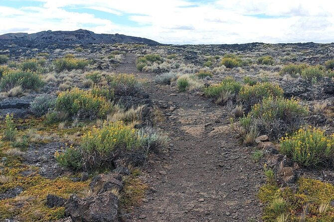 pali-aike-full-day-adventure-from-punta-arenas