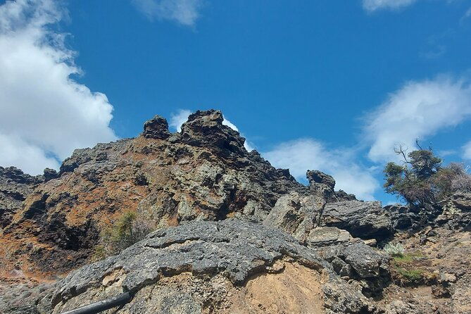 pali-aike-full-day-adventure-from-punta-arenas