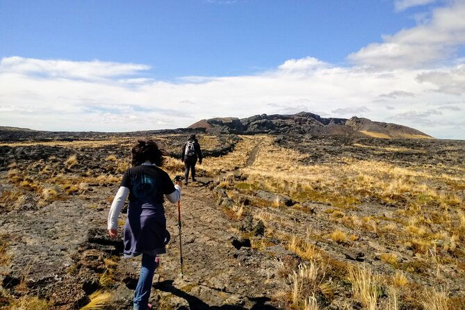 pali-aike-full-day-adventure-from-punta-arenas