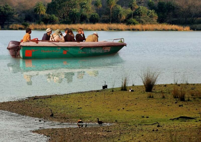 Palighat Chambal Crocodile Boat Safari - The Itinerary: What to Expect Step-by-Step