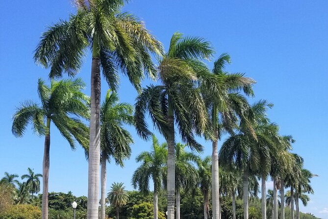 palm-beach-tour-from-miami-flaglers-museum-hotel-breakers