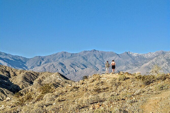 Palm Springs Hike to an Oasis and Amazing Desert Views - Exploring the Palm Springs Hike to an Oasis and Amazing Desert Views