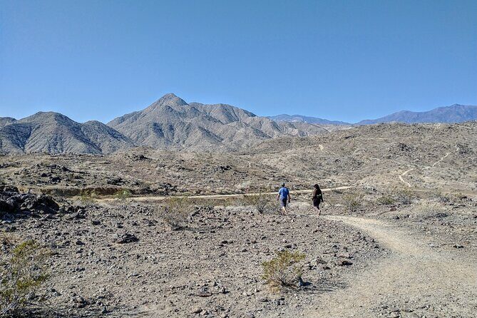 Palm Springs Hike to an Oasis and Amazing Desert Views - Pricing and Value