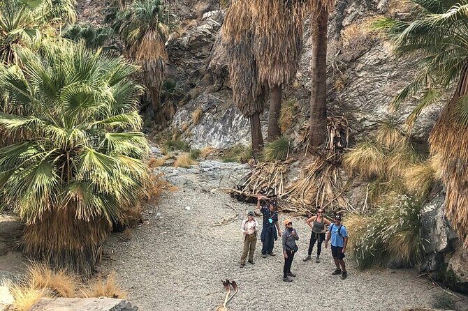 Palm Springs Hike to an Oasis and Amazing Desert Views - The Sum Up