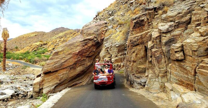 Palm Springs: Indian Canyons Jeep/Hiking Combo Tour - What Makes This Tour Stand Out?