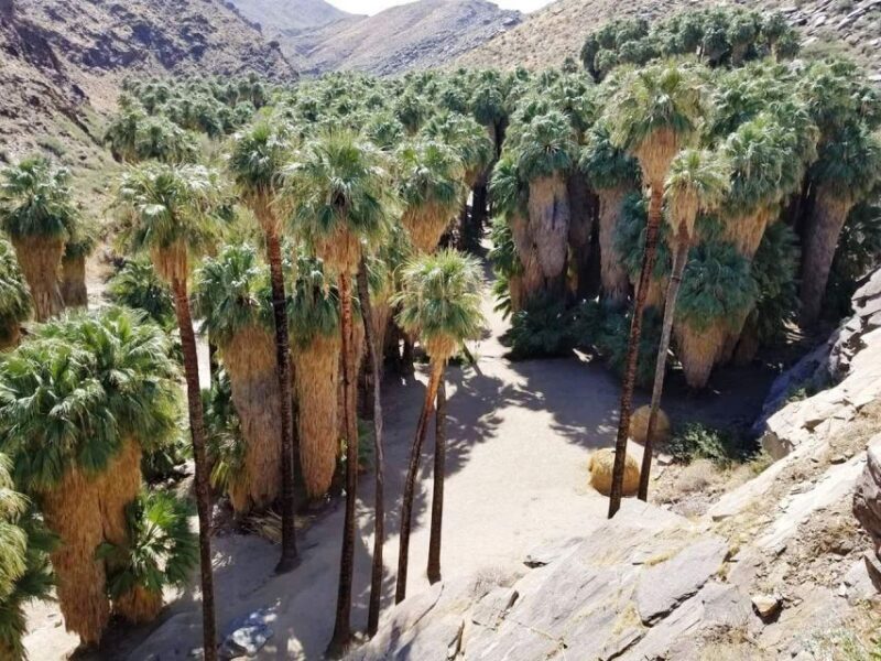 Palm Springs: Indian Canyons Jeep/Hiking Combo Tour - Who Should Consider This Tour?