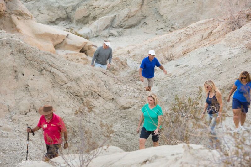 Palm Springs: San Andreas Fault Open-Air Jeep Tour - Authentic Insights from Reviewers