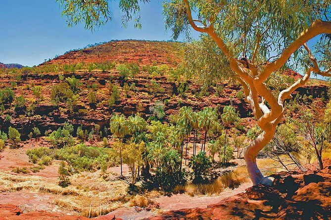 Palm Valley 4WD Tour from Alice Springs - About the Tour: Logistics and Practicalities
