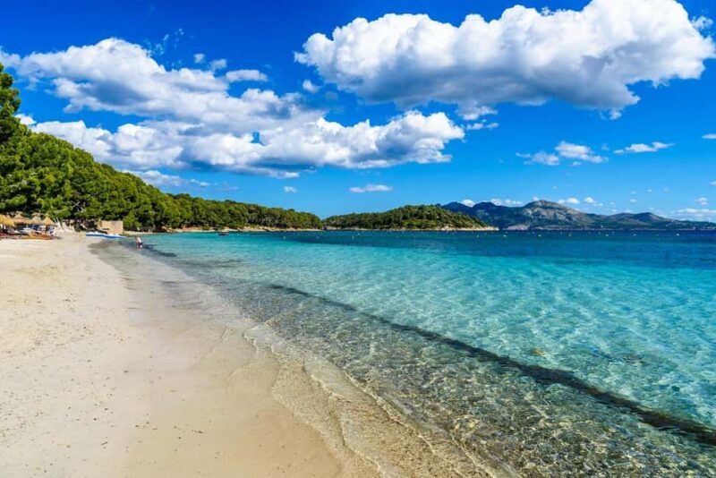 Palma: Alcúdia, Port de Pollença & Cap de Formentor Day Trip - An In-Depth Look at the Mallorca Northern Coast Day Trip