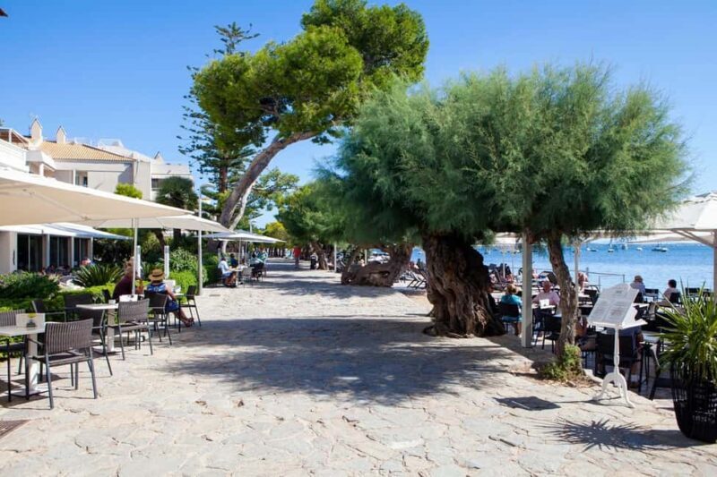 Palma: Alcúdia, Port de Pollença & Cap de Formentor Day Trip - Practical Considerations and Recommendations