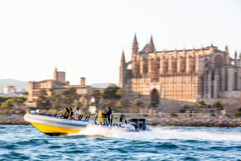 palma-bay-speedboat-discovery-tour
