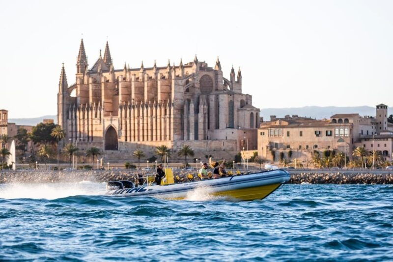 palma-bay-speedboat-discovery-tour