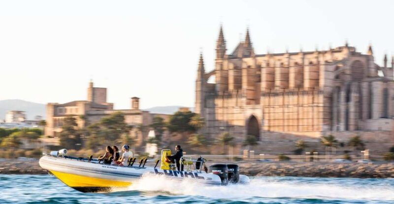 palma-bay-speedboat-discovery-tour
