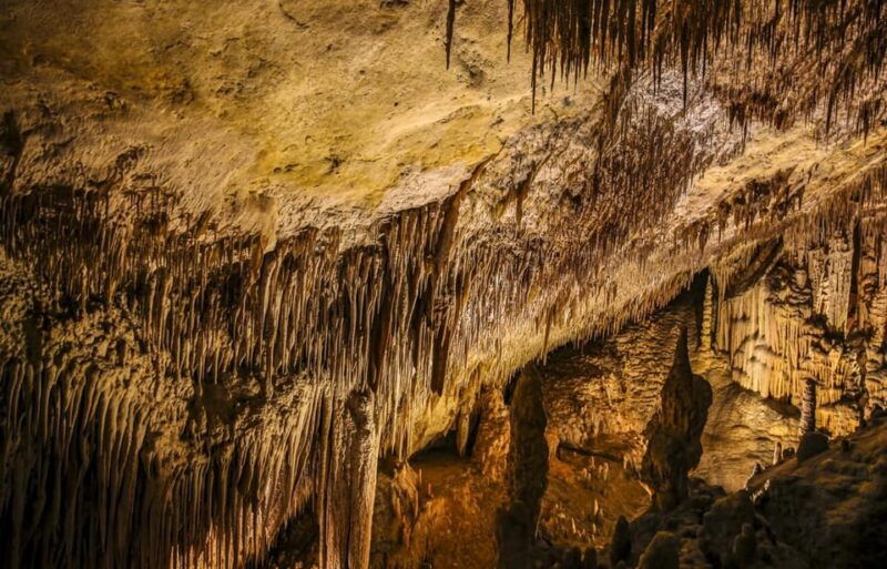 palma-caves-of-drach-entrance-music-concert-and-boat-trip