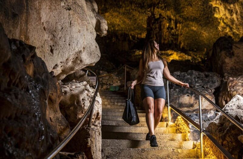 palma-caves-of-drach-entrance-music-concert-and-boat-trip