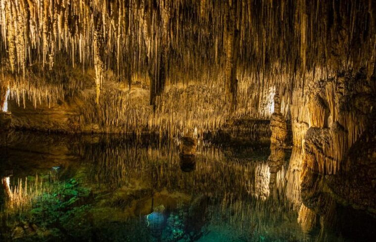 palma-caves-of-drach-entrance-music-concert-and-boat-trip