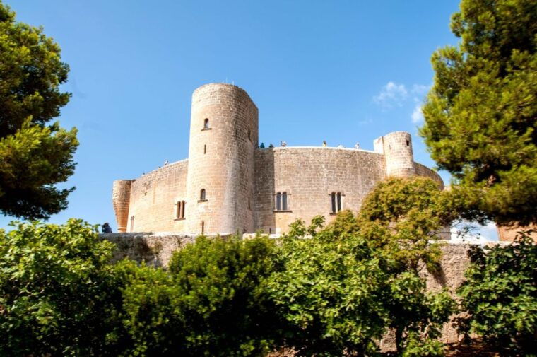 palma-de-mallorca-city-sightseeing-hop-on-hop-off-bus-tour