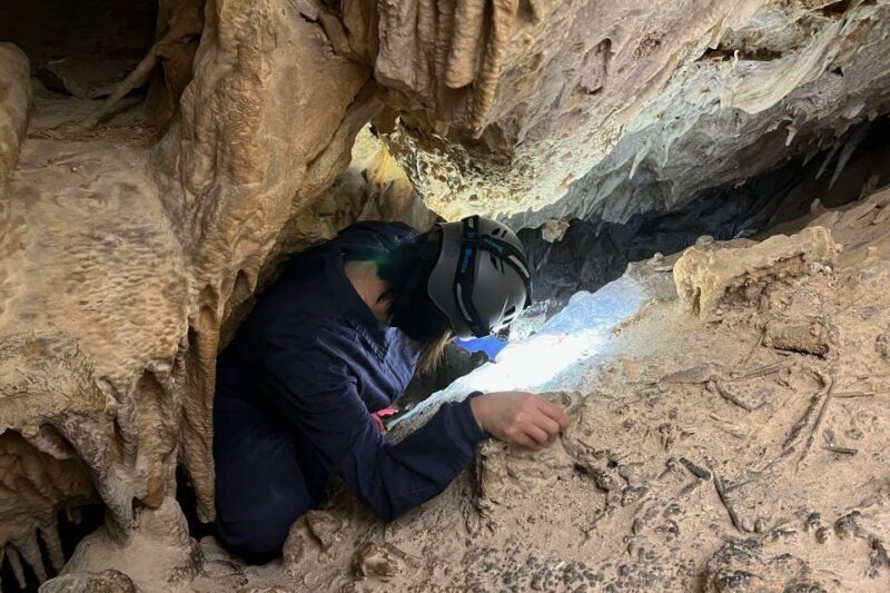 Palma de Mallorca: Es Marmols Cave Tour - Why This Tour Is Worth Considering