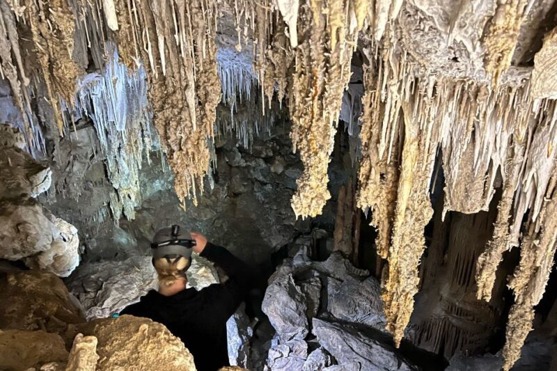 Palma de Mallorca: Es Marmols Cave Tour - Who Should Book This Tour?