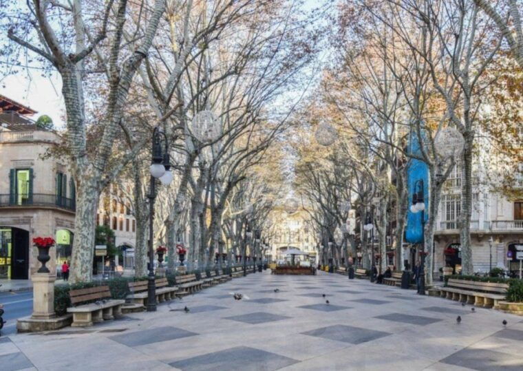 palma-de-mallorca-free-time-in-palma-boat-tour