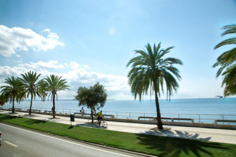 palma-de-mallorca-full-day-tour-with-departure-options