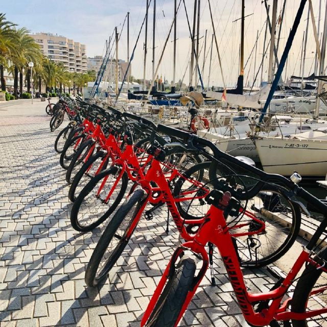 palma-de-mallorca-guided-bicycle-tour-with-tapas-a-drink