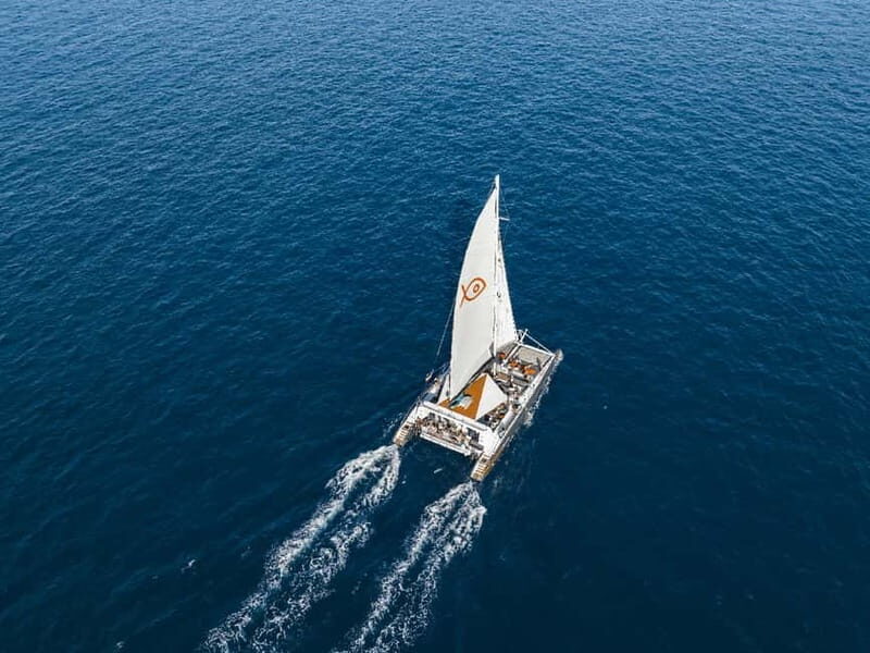 Palma de Mallorca: Half-Day Catamaran Tour with Buffet Meal - The Practical Side – What You Need to Know