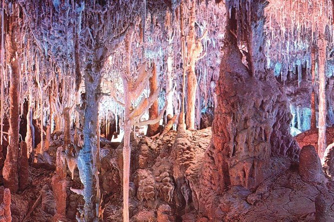 palma-de-mallorca-half-day-to-caves-of-hams-blue-cave-and-film