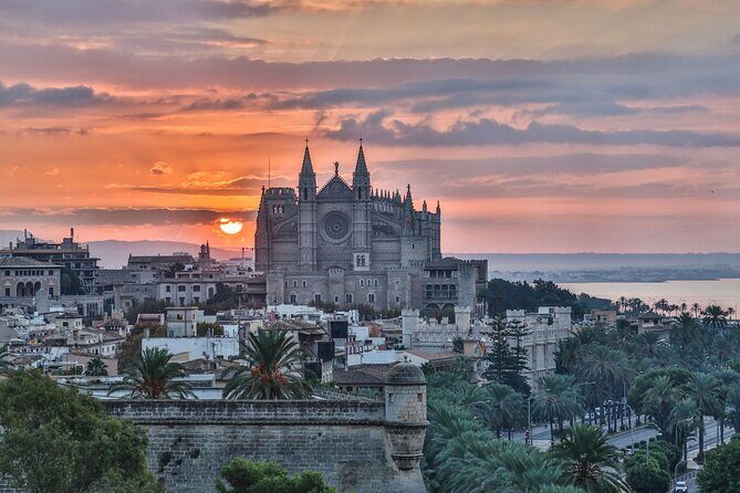 Palma de Mallorca : Private Custom Walking Tour with A Guide - Exploring Palma de Mallorca with a Personal Touch
